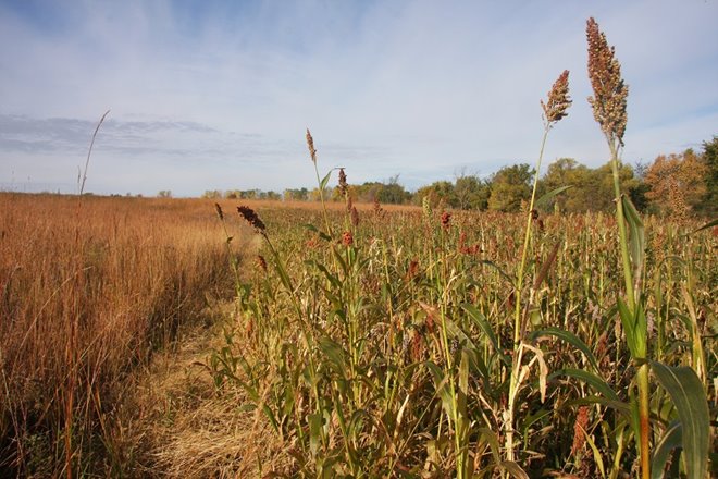 99d82fa7-8c2c-4afe-b42a-79ed023d512e