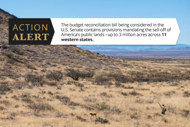 0742aca0-58ea-4517-a947-888ee26ba4e6