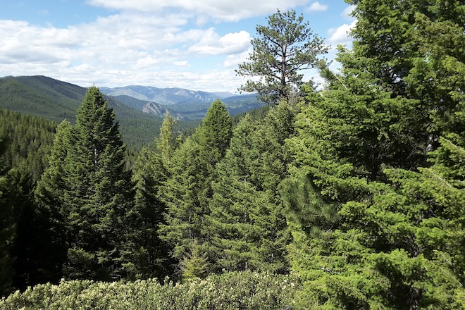 08d62aaa-3a78-40a9-bf5f-8d999a91da06