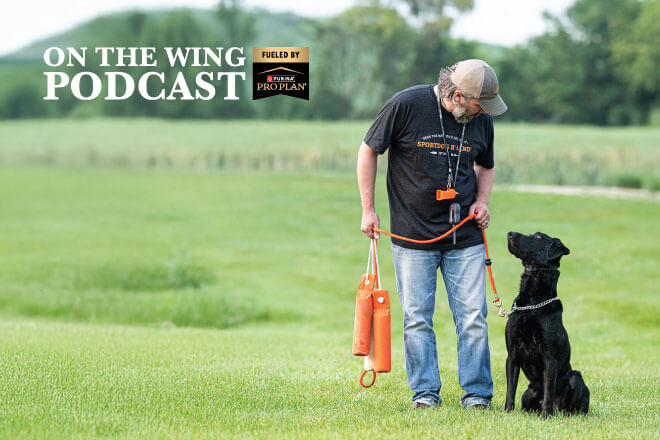 0c1a20bc-5f71-4ab7-aeb6-4507a2f46961