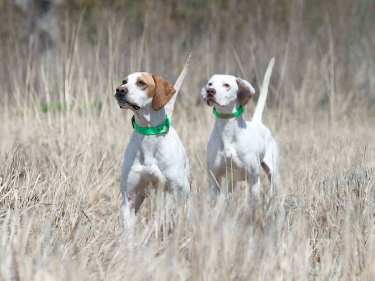 0e30bb7d-5b09-4892-b6c1-73372a2d2771