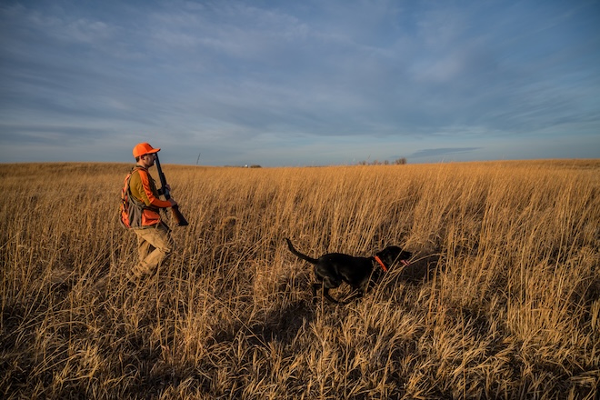 125f5e34-0d3f-4ff1-9bac-8ce1190025d0