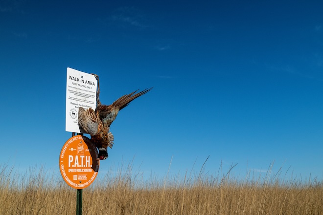 2e20b662-b3ce-45a5-a55a-dc2477c75a12