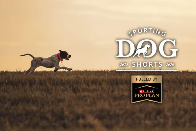 37d18dfa-7d34-48fa-8dca-ab83049084b9