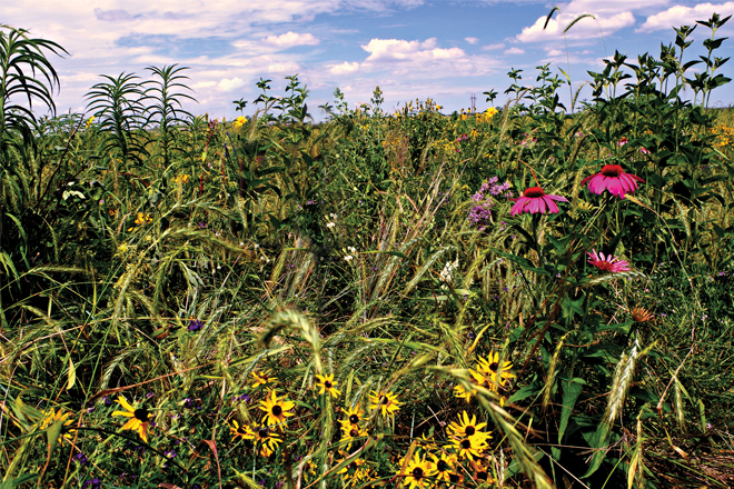 45b9f5d4-a87b-474f-8d5d-56656918365f