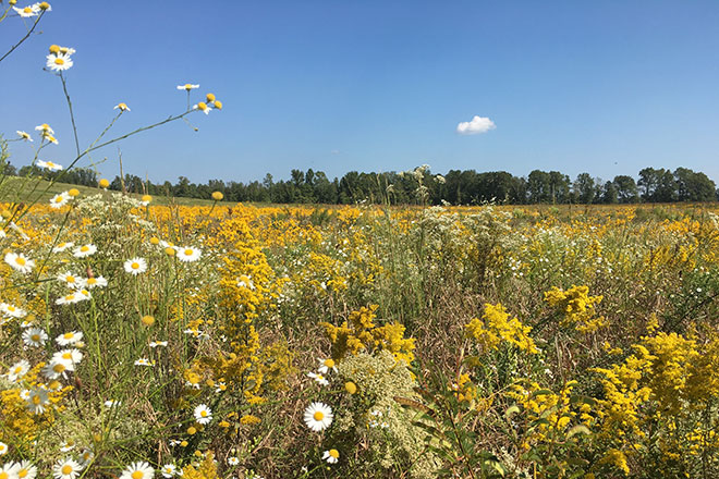 4ab6c77c-1002-414d-beec-ff7959d0b11f