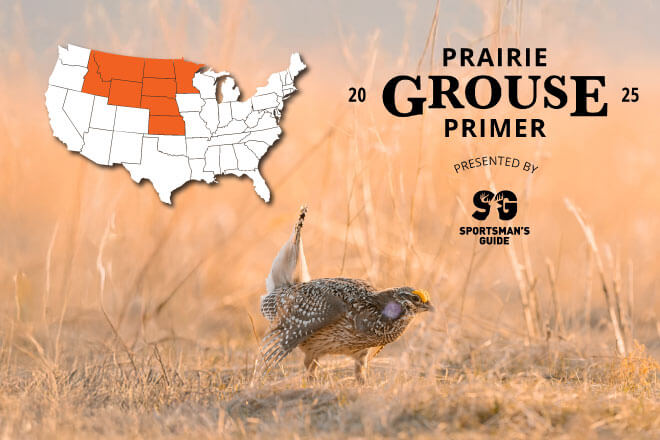 4b908fb8-7c3a-4f00-b13c-50116263c00b