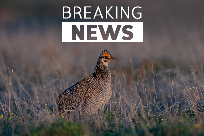 4c103603-a17d-4ced-967b-2b5edd73629c