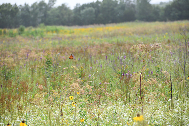 52e8c17b-9921-4fe4-82cd-fc2ec546b8b5