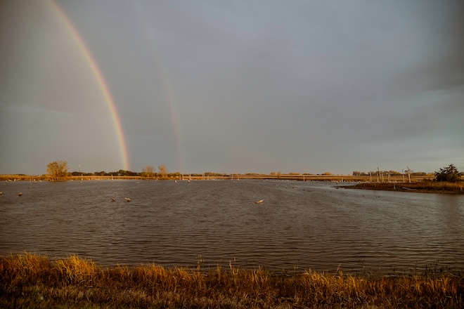 547eaa71-e774-43b2-80ca-f1f04446b82f