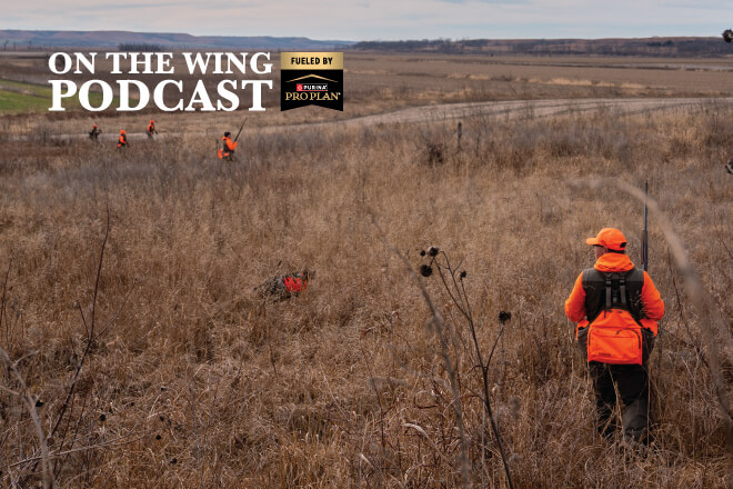 5e2bfbb2-eb97-4740-8345-110c57ab05ce