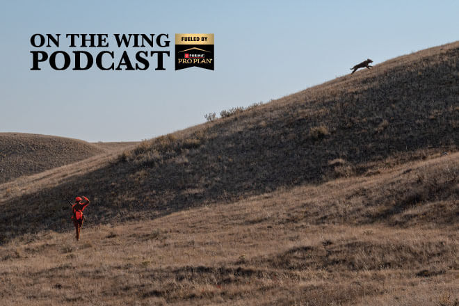 63e0dfca-4b3b-47e4-8f9b-11a49b14c428