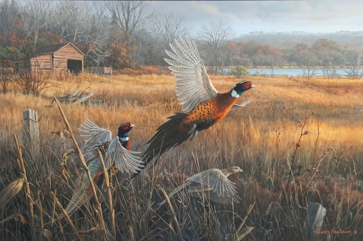 Jim-Hautman’s-Busting-Out”-