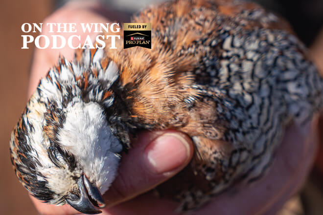 6a8361a0-910e-4da6-a3b8-abc639a87344