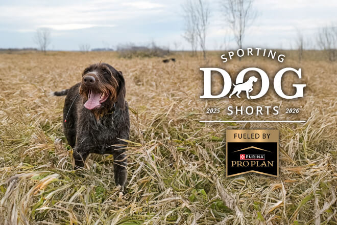 6ad4ec1e-a7d8-490a-b212-a503c657f2a3