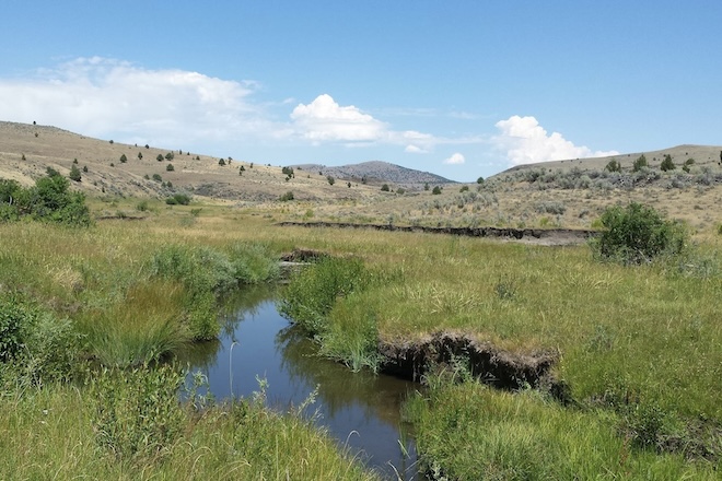 6b290e74-4e99-4c02-a8ba-0e82a82b0fcf