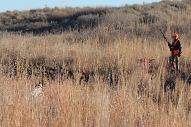 6b773548-660a-439c-beed-b24603962e16