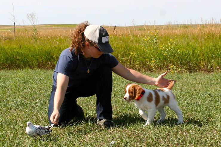 what was the first hunting dog