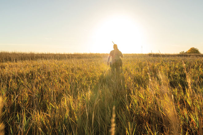 889be0aa-79be-4d76-84e8-bbc1196aec17