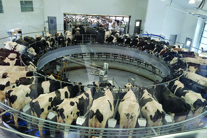 8cdbe2ef-f68a-4d96-9654-325424c140db