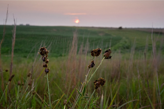 9e59476c-cd4c-48e4-8bab-e55979657f14