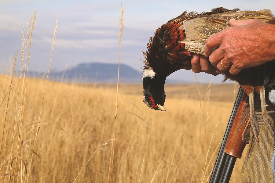 Like so many programs supported by Pheasants Forever, the benefits of