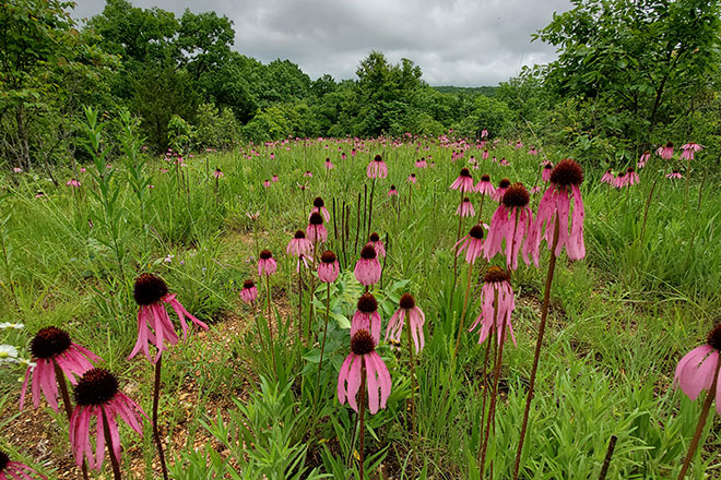 a8fba308-992e-4e51-ab4a-d29726f9ea5f