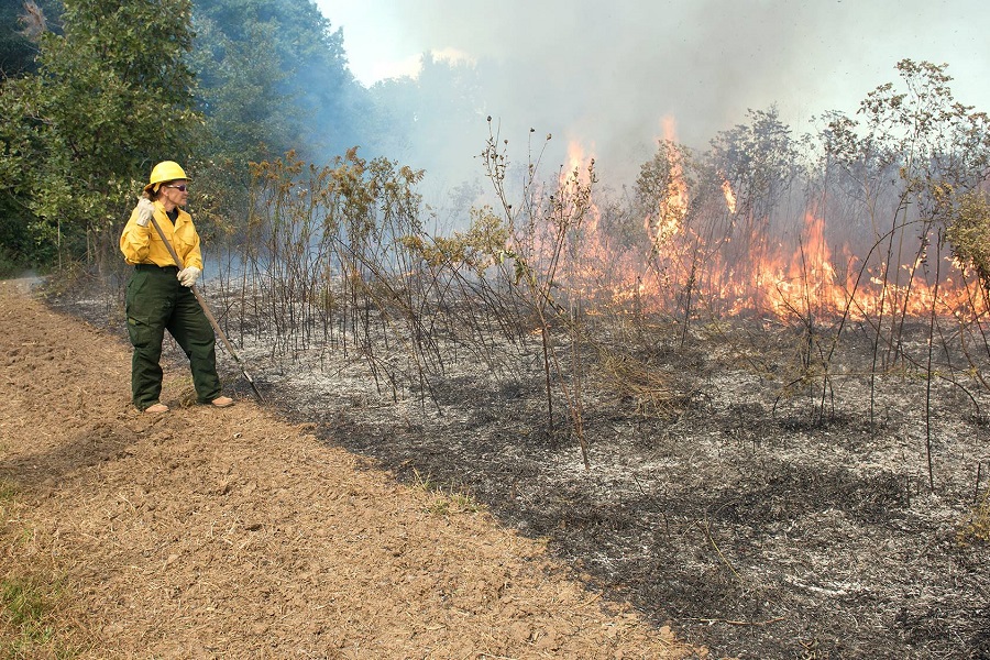 Elsa Gallagher, Missouri state coordinator, helping conduct a prescribed burn Elsa Gallagher, Missouri state coordinator, helping conduct a prescribed burn