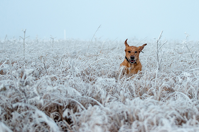 b2569de6-0ed9-4020-a0d2-fe228761b9bb