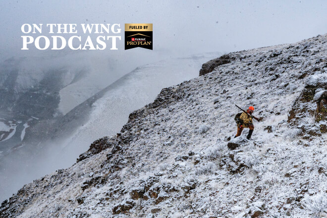 b2e3f37d-fe60-4b86-81d1-00fa0985f9b8