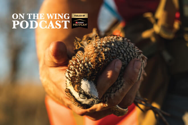 b9c8ee37-352f-481e-82af-10f63b2e9f68