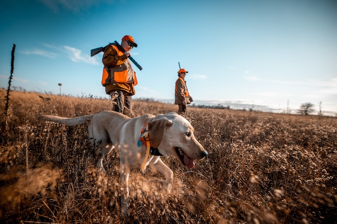 ba7f9197-f74d-40eb-84a4-9981a36ec9ff