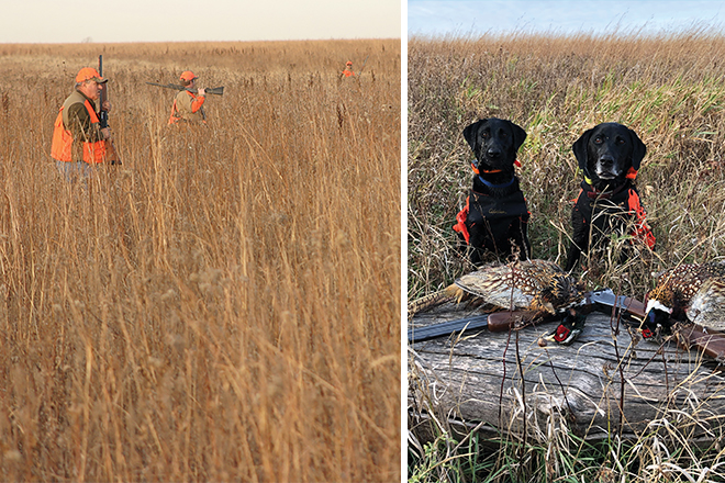 bc73a470-6795-4a25-9bcf-52e77dce1c07