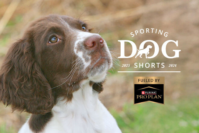 c3c781f3-aedd-4f5f-88ab-7d6570edbc7e