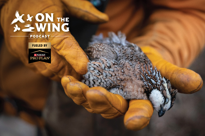 c4423510-ba58-461e-88dc-def40c528457