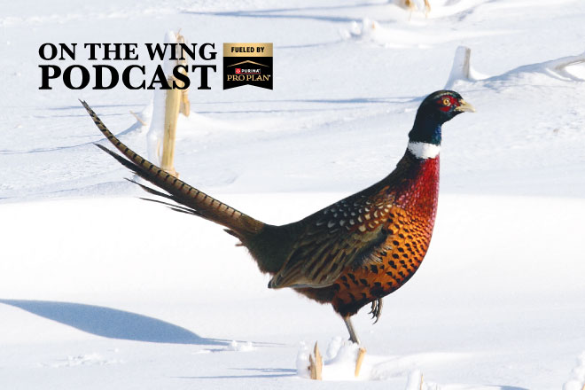 c4763306-1cdf-4e04-9300-fcebe228d4b1