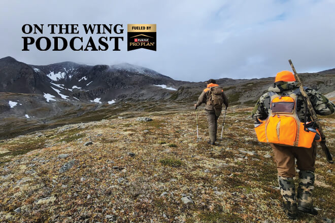 c4d759e4-353a-4075-8266-c86b4e29c469