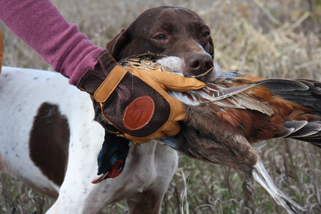 c856cec1-5ae1-44af-8311-5819e08dfcb3