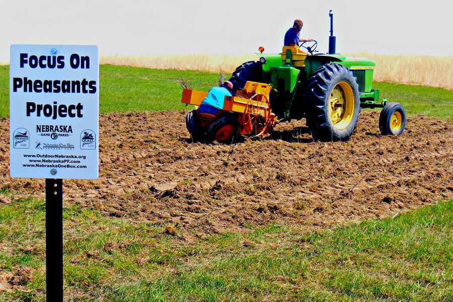 How Can the Plan Help Pheasants?