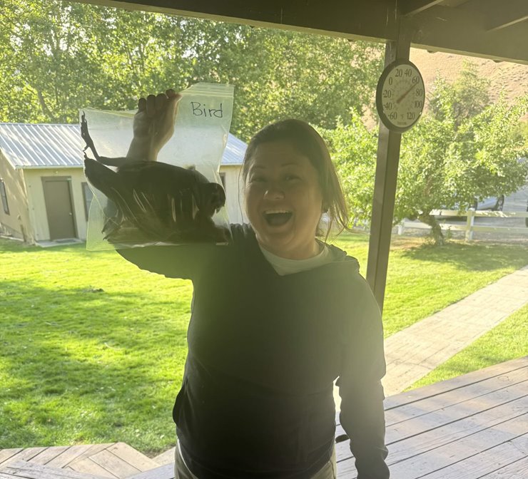 d0544e1b-348f-4bd4-8f97-876b056f0921