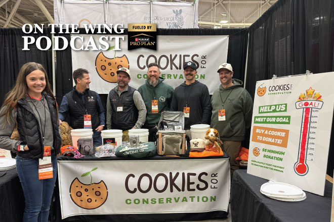 e9a55882-2190-4594-8cc7-f998ce7b23ac