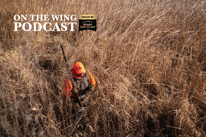 fe0f3795-0ee5-489c-9485-6f1b54c40693