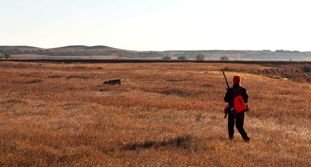 Education & Outreach Program Manager, Marissa Jensen, cuts through some short grass in order to dive into some cattails. 