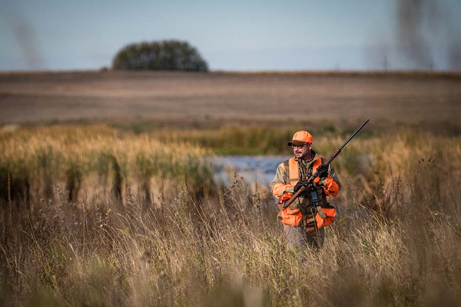 Searching for Longtails