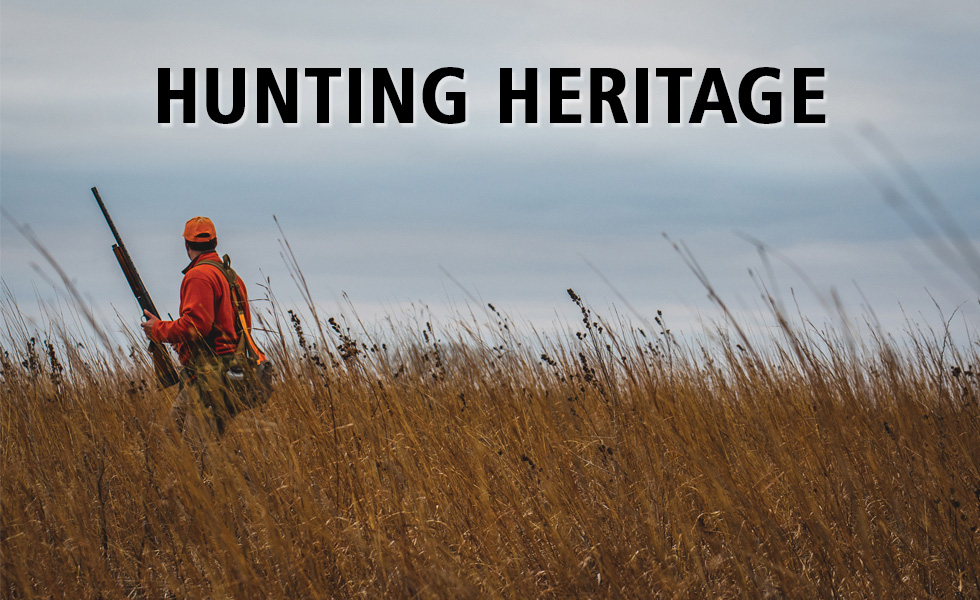 Early Season Tips for Pheasant Hunting Success