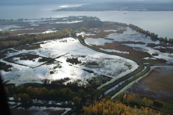 Great Black Swamp arial view