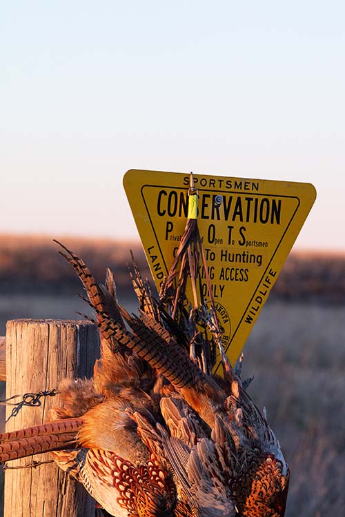 800,000+ Acres