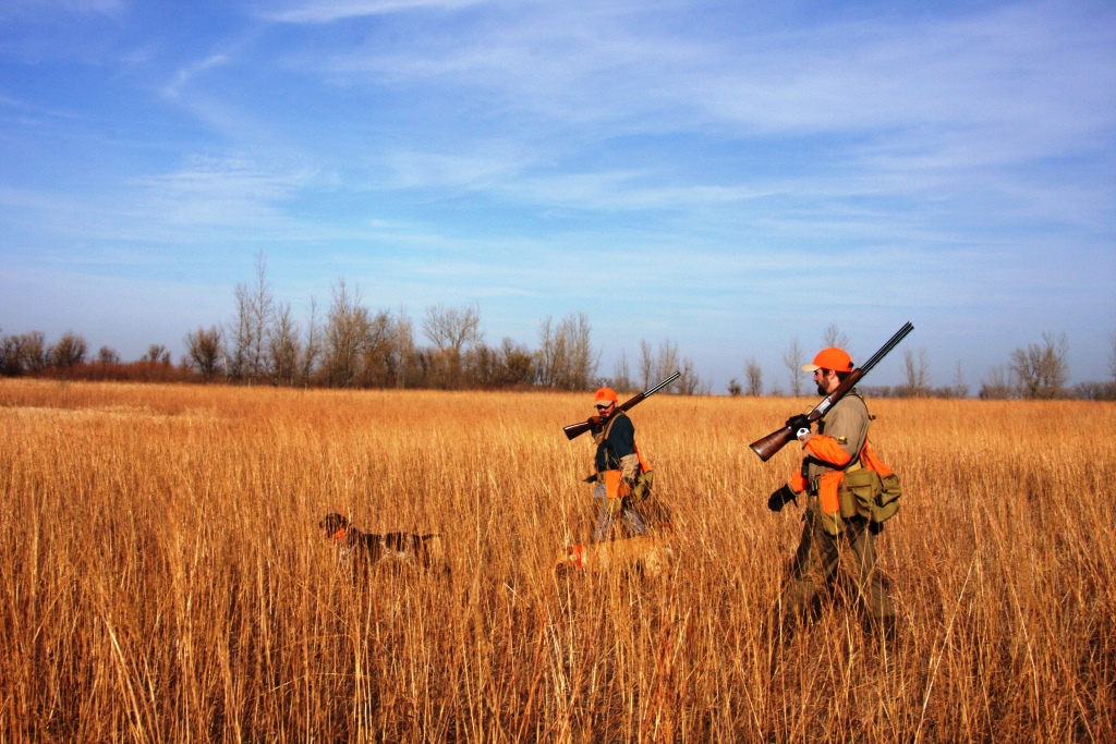 Keying in on quality upland habitat helps increase the chances of productive pheasant hunts.