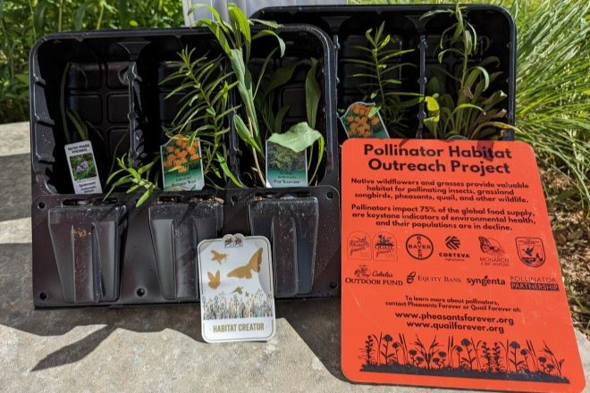 planting kit