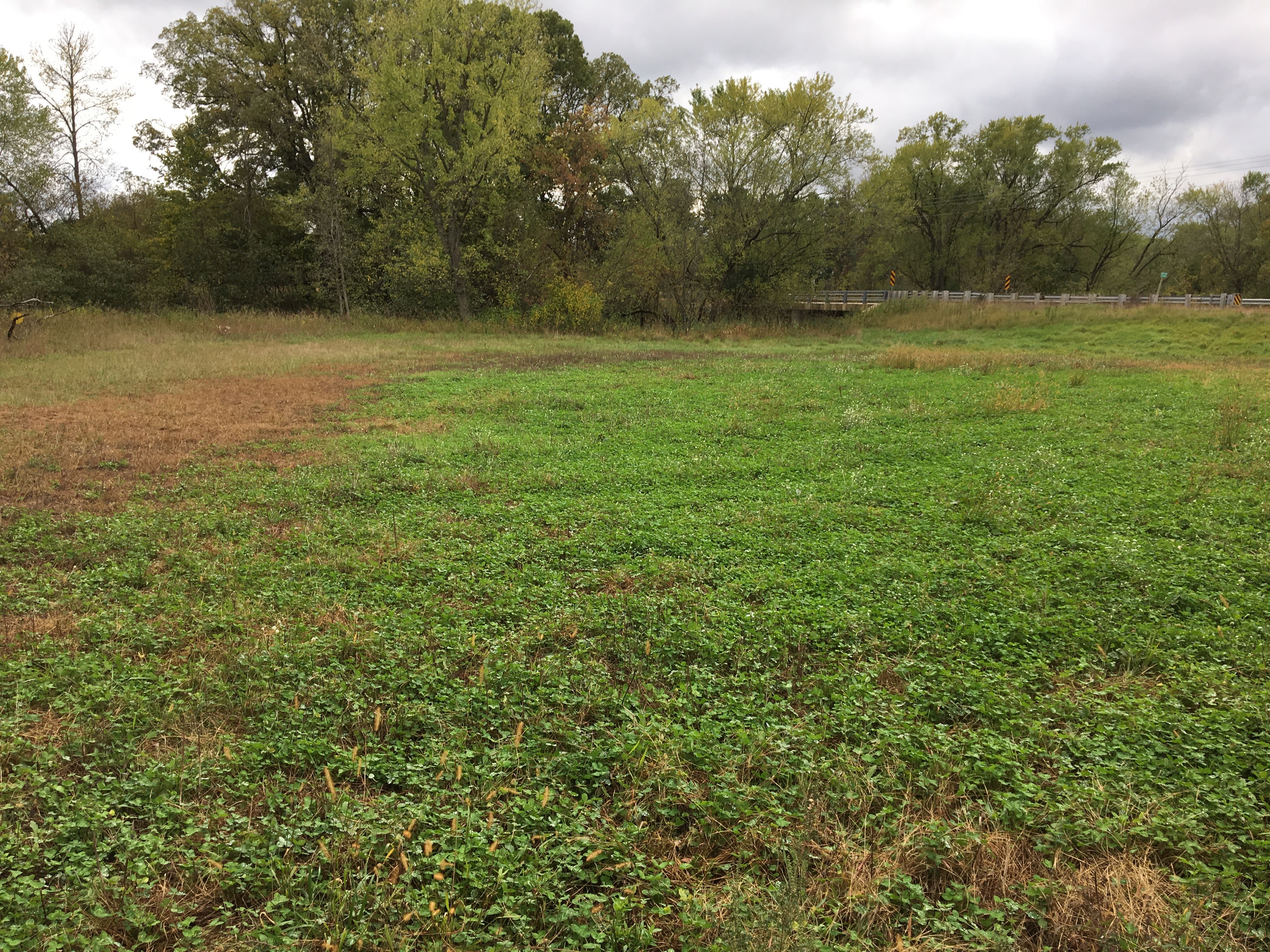 Small but unproductive areas, such as this field corner coming back to grass and forbs, provide an important mosaic of wildlife niches within a large-scale grain operation. Small but unproductive areas, such as this field corner coming back to grass and forbs, provide an important mosaic of wildlife niches within a large-scale grain operation.